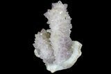 Amethyst Crystal Cluster - Diamond Hill, SC #69783-3